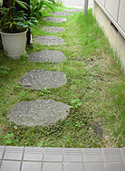 ������������¦