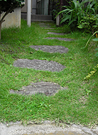 ��������ƻϩ¦